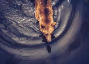 Bitcoin Drops to $92,000 as Long-Term Holders Keep Taking Profit