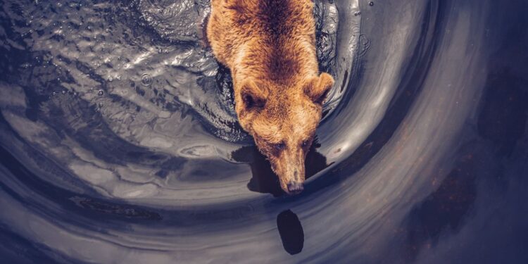 Bitcoin Drops to $92,000 as Long-Term Holders Keep Taking Profit