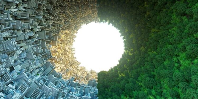 Sony Ventures Says These Trends Are Shaping Climate Tech Investment