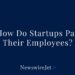 How Do Startups Pay Employees? A Guide to Compensation