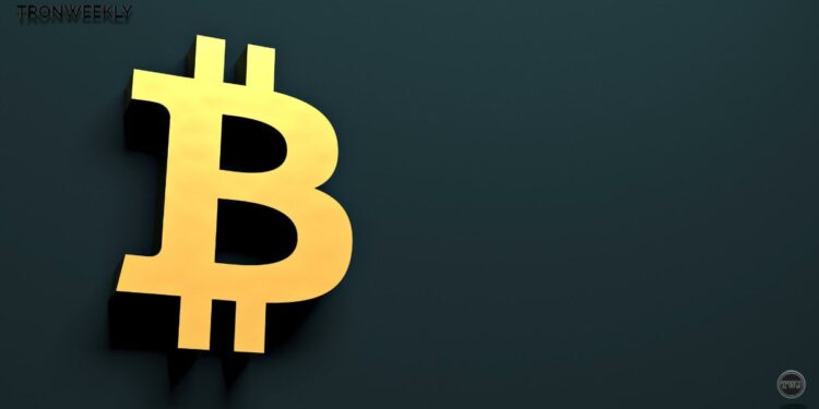 Trump’s Bitcoin Reserve Strategy: Gromen Urges Trump to Delay Launch