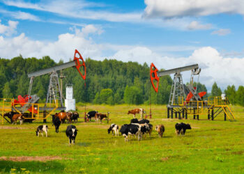 From worst to first: last year’s stock-market laggards see strong start to 2025