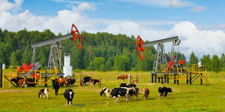 From worst to first: last year’s stock-market laggards see strong start to 2025