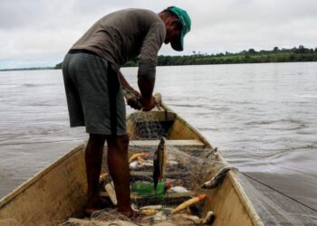 Brazil’s Amazon shipping plan faces criticism for environmental and social impact