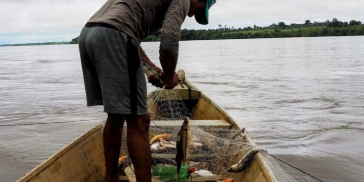 Brazil’s Amazon shipping plan faces criticism for environmental and social impact