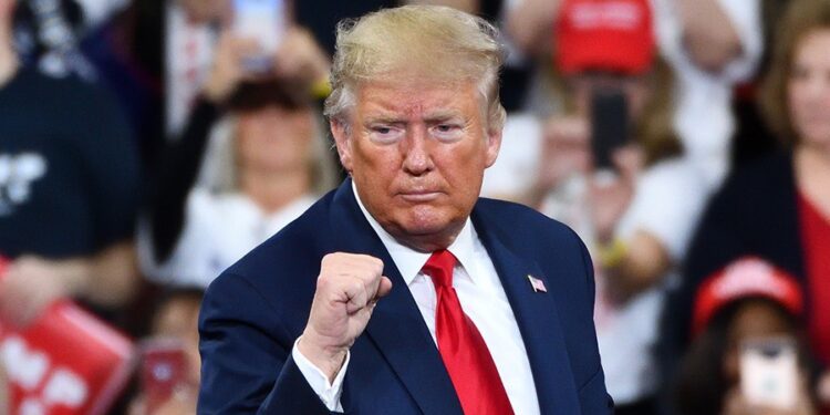 A Presidential Memecoin? How $TRUMP Is Shaking Up Crypto Space