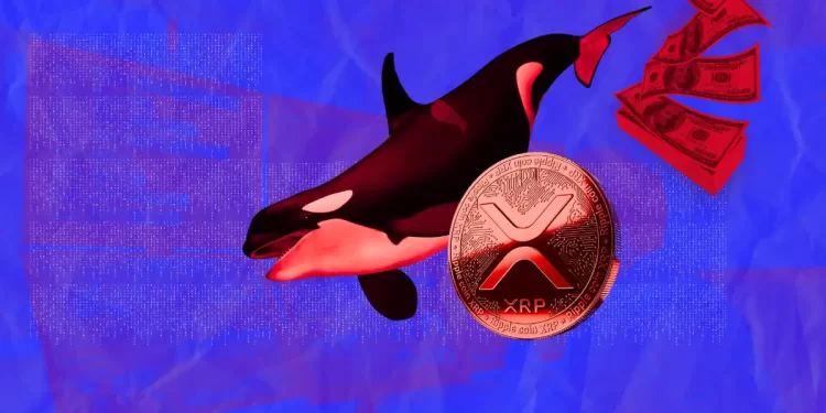 XRP News: Ripple Whales Push 120 Million XRP in Recent Market Dip