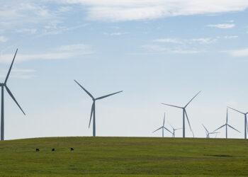 Court Halts Takedown of Oklahoma Wind Project Ordered by Year End