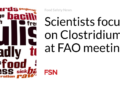 Scientists focus on Clostridium at FAO meeting