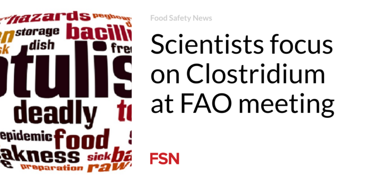 Scientists focus on Clostridium at FAO meeting
