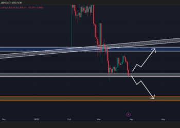 Time to Buy Ethereum? Whale Bags $58 Million of ETH