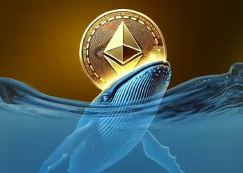 Time to Buy Ethereum? Whales Buy 15,563 ETH Amid Price Crash