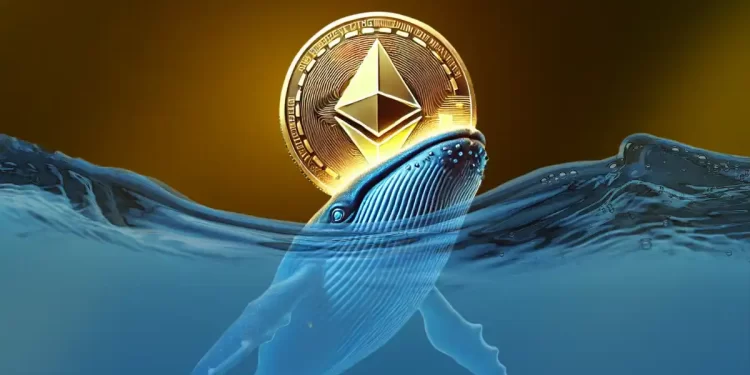 Time to Buy Ethereum? Whales Buy 15,563 ETH Amid Price Crash