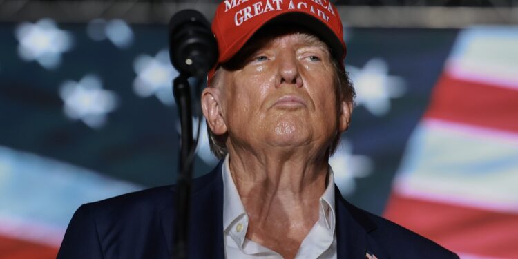 Trump Is Openly Bragging About Crashing the Stock Market