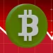 Bitcoin Crash Triggers Stock Drops Across Crypto-Exposed Firms