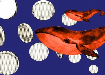 Andreessen Horowitz (A16Z) Acquires an Additional $55M of LayerZero (ZRO) Tokens