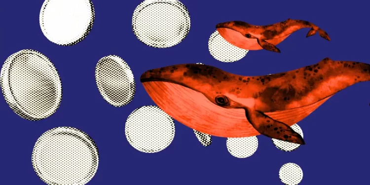 Andreessen Horowitz (A16Z) Acquires an Additional $55M of LayerZero (ZRO) Tokens