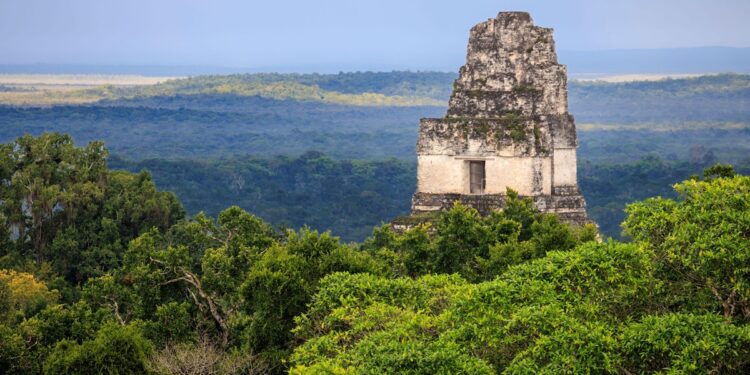 Archaeologists have discovered a 1,600-year-old Maya altar, surrounded by children’s bones