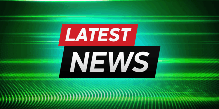 Avi Eisenberg Jailed for Over Four Years