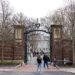 Obama-Appointed Judge Allows Harvard To Continue Enrolling Foreign Students
