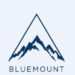 Bluemount Holdings Limited Announces Pricing of $5.5 Million Initial Public Offering