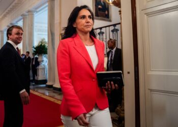 Tulsi Gabbard’s Latest Cuts Expose U.S. to Dangerous Foreign Threats
