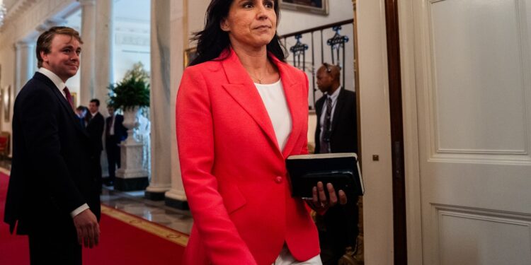 Tulsi Gabbard’s Latest Cuts Expose U.S. to Dangerous Foreign Threats