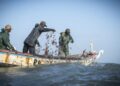 A ‘sea war’ brews off Gambia as desperate local fishermen attack foreign vessels, and each other