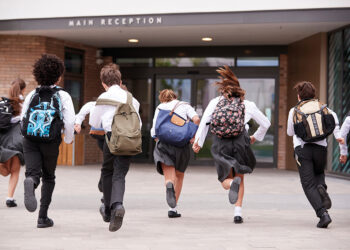 Department for Education’s highest paid contractors revealed