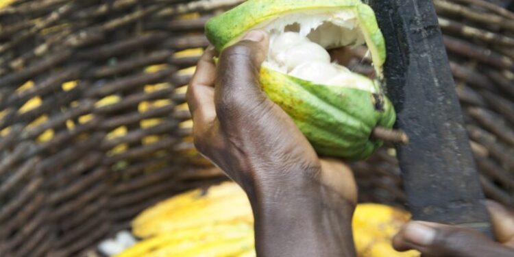 EUDR implementation comes laden with potential unintended consequences