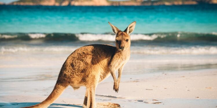 CFDs Broker AIMS Loses Its Australian Licence