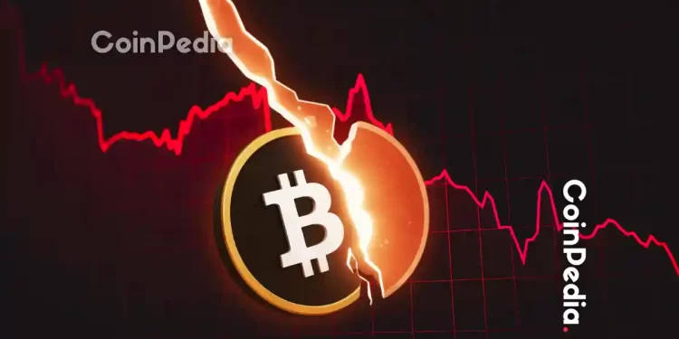 Willy Woo Issues Warning To Altcoin And Bitcoin Holders Ahead of Possible 80% Crash