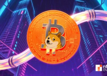 How Beginners Mine Bitcoin & Dogecoin Without Hardware – Magicrypto