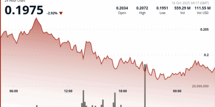 DOGE Trading Desk Flows Hint Bottoming. Watch $0.214 Flip for Momentum Trigger