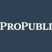 Meet ProPublica’s 2025 Class of Emerging Reporters