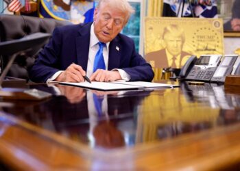 How to fix the broken visa system for high-skill workers