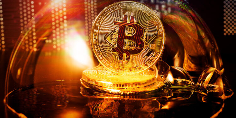 Cryptocurrencies, White House’s Tech Force, and Immunome: Stock Market News