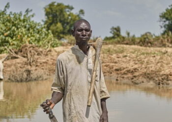 Africa mulls gap in climate adaptation finance for agriculture