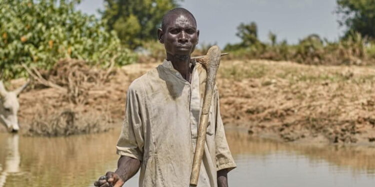 Africa mulls gap in climate adaptation finance for agriculture