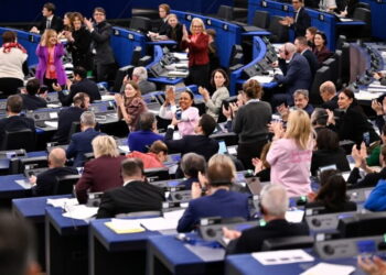 EUDR antideforestation law officially delayed for second year in a row