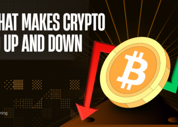 What Makes Crypto Go Up and Down: A Comprehensive Guide