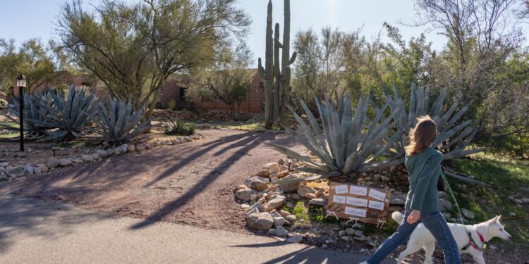 The Nancy Guthrie ransom note was ‘carefully crafted,’ listed two deadlines, contained key details