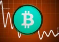 Bitcoin Cash Price Nears Short Squeeze Zone: Is $600 the Next Trigger?