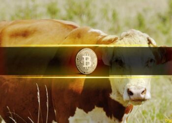 Bullish Sentiment Returns as BTC Nears $70K But Is it a Bull Trap? 