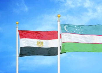 Egypt forms digital committee; Uzbekistan taps ZTE for digitalization