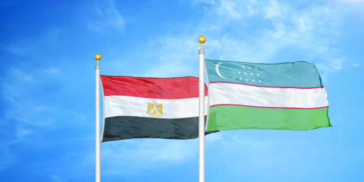 Egypt forms digital committee; Uzbekistan taps ZTE for digitalization