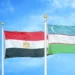 Egypt forms digital committee; Uzbekistan taps ZTE for digitalization
