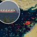 See ship traffic as Iran announces Strait of Hormuz ‘completely open’