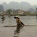 Laos can do more to mitigate chemical pollution of rivers flowing into Vietnam (analysis)