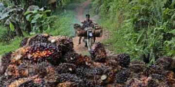 Indonesia tightens control over key commodities in major trade takeover, influencing global exports